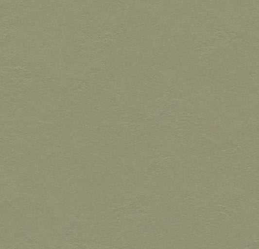 Forbo Marmoleum Solid Walton Rosemary Green 3355