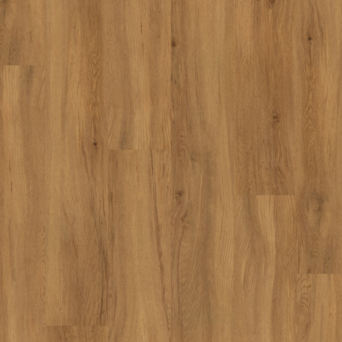 Christchurch Oak - Polyflor Conceptline LVT swatch
