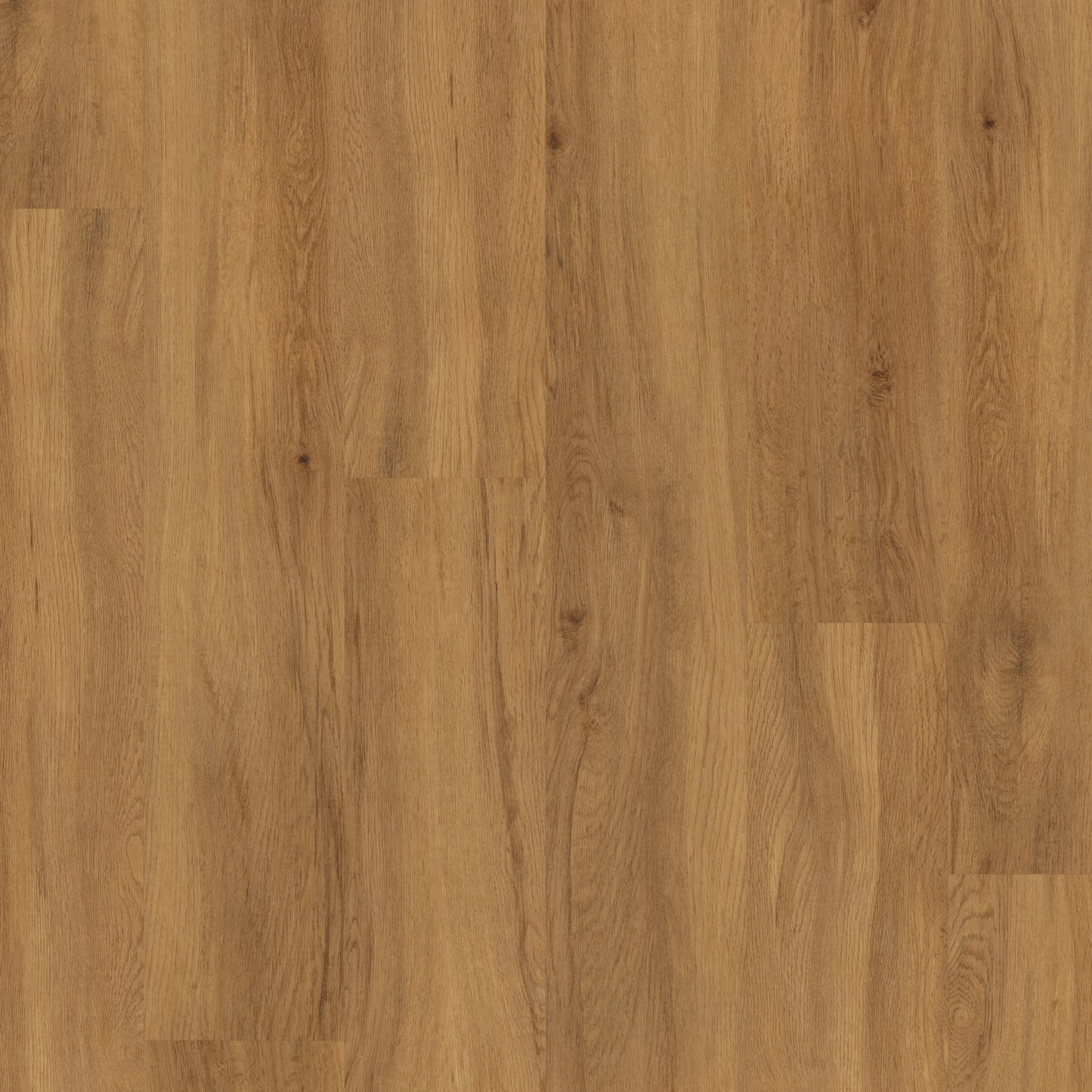 Christchurch Oak - Polyflor Conceptline LVT swatch
