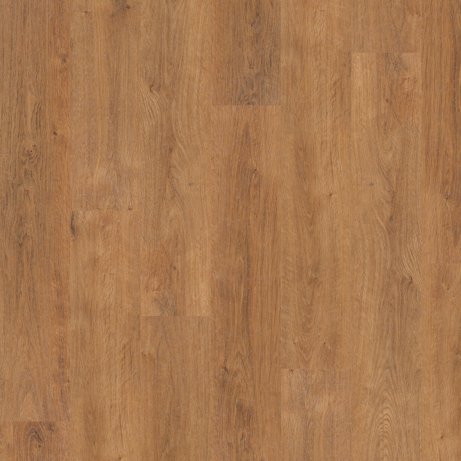Classic Oak - Polyflor Expona Control LVT swatch