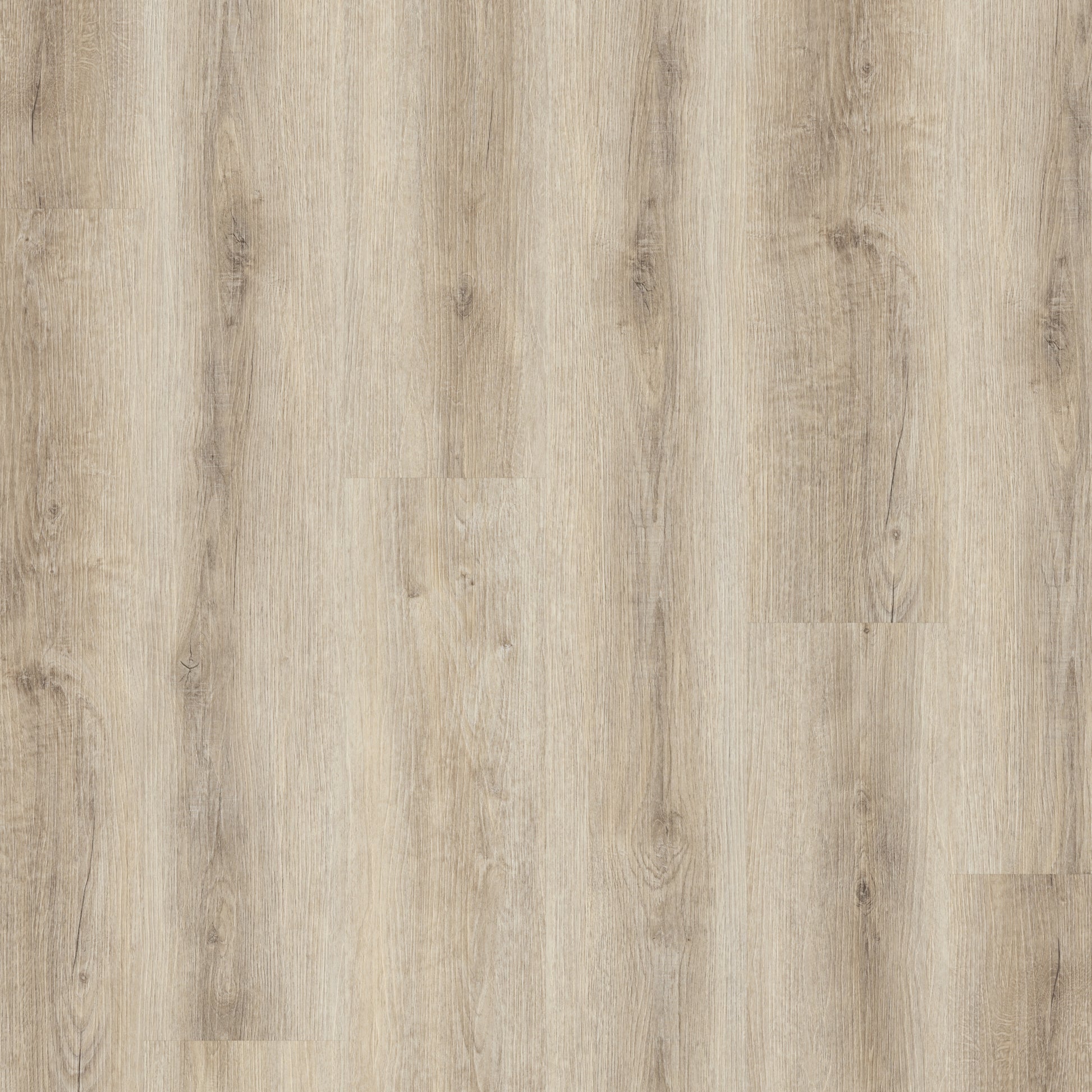 Snowshill Oak - Polyflor Conceptline LVT swatch