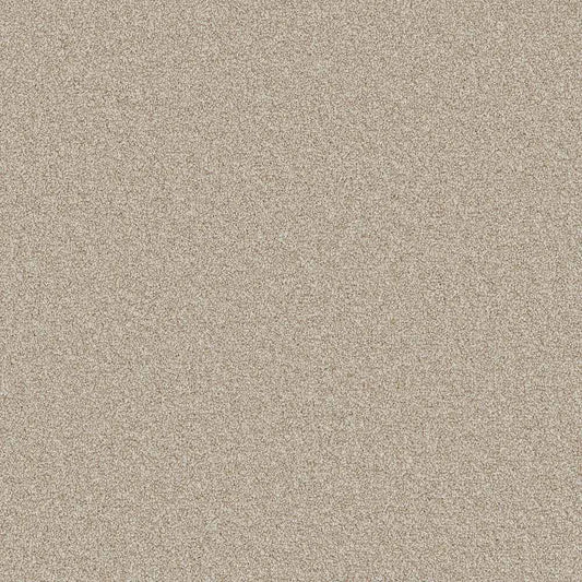 Flooring Wholesale Comfort Twist Indian Pepper Carpet Swatch