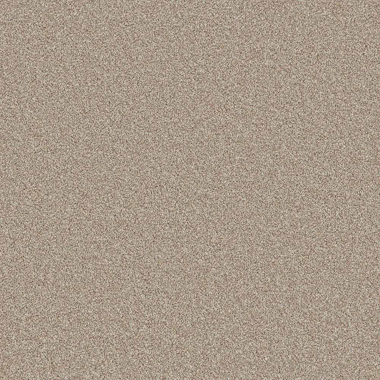 Flooring Wholesale Comfort Twist Cappuchino Carpet Swatch