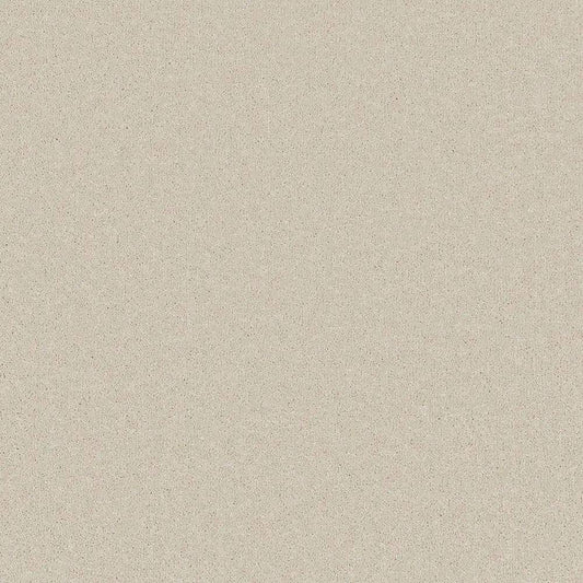 Flooring Wholesale Comfort Twist Hempseed Carpet Swatch