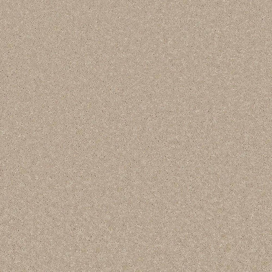 Flooring Wholesale Comfort Twist Conch Carpet Swatch