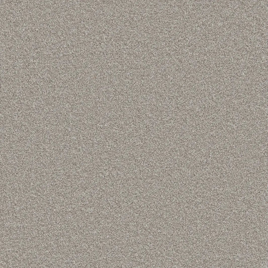 Flooring Wholesale Comfort Twist Woodsmoke Carpet swatch