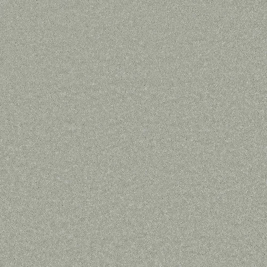 Flooring Wholesale Comfort Twist Winter Wheat Carpet Swatch