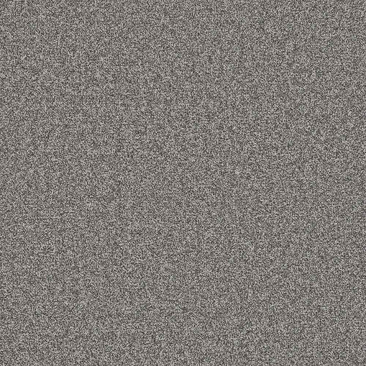Flooring Wholesale Twist Xtra Starlight Carpet Swatch