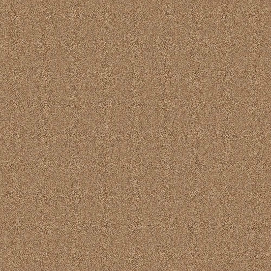 Flooring Wholesale Twist Xtra Oatmeal Carpet Swatch