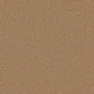 Flooring Wholesale Twist Xtra Oatmeal Carpet Swatch
