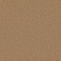 Flooring Wholesale Twist Xtra Oatmeal Carpet Swatch