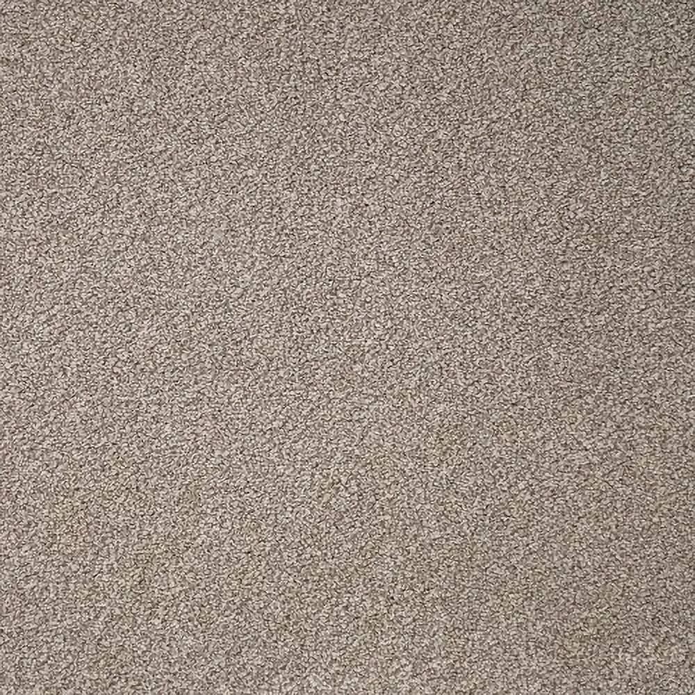 Flooring Wholesale Twist Xtra Mink Carpet Swatch