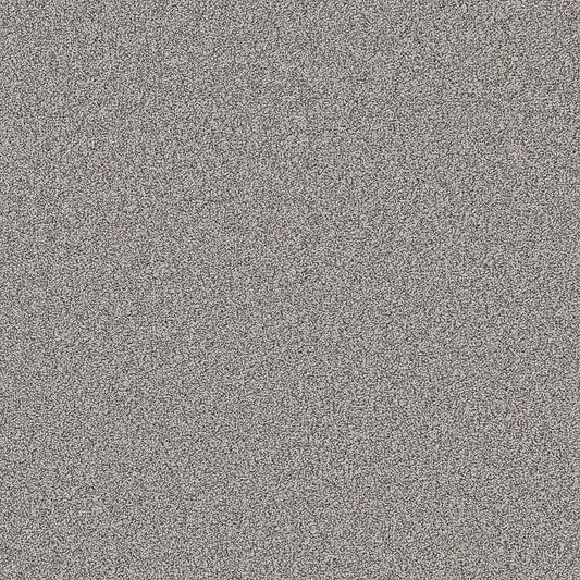 Flooring Wholesale Twist Xtra Iceland Carpet Swatch