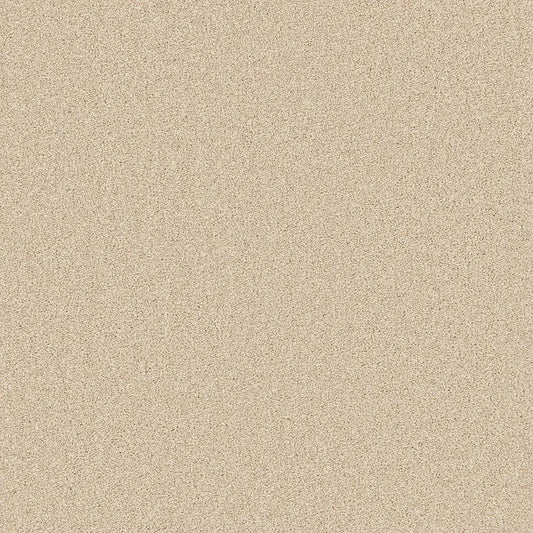 Flooring Wholesale Twist Xtra Barley Carpet Swatch