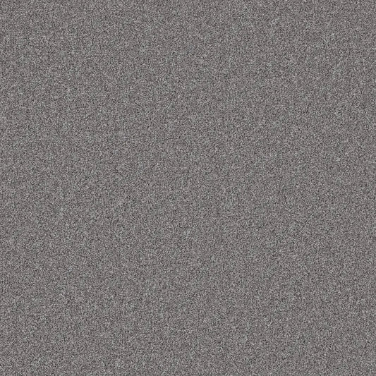 Flooring Wholesale Twist Xtra Galaxy Carpet Swatch