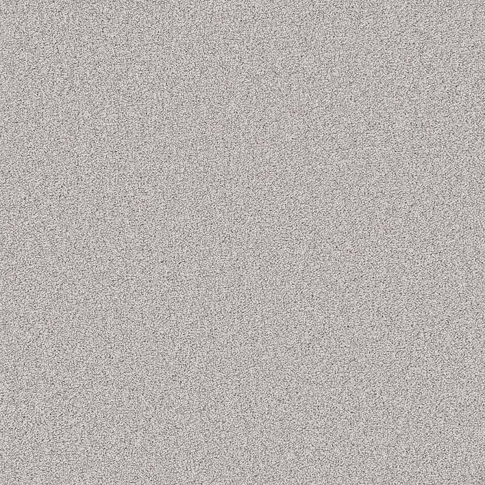 Flooring Wholesale Twist Xtra Peak Carpet Swatch