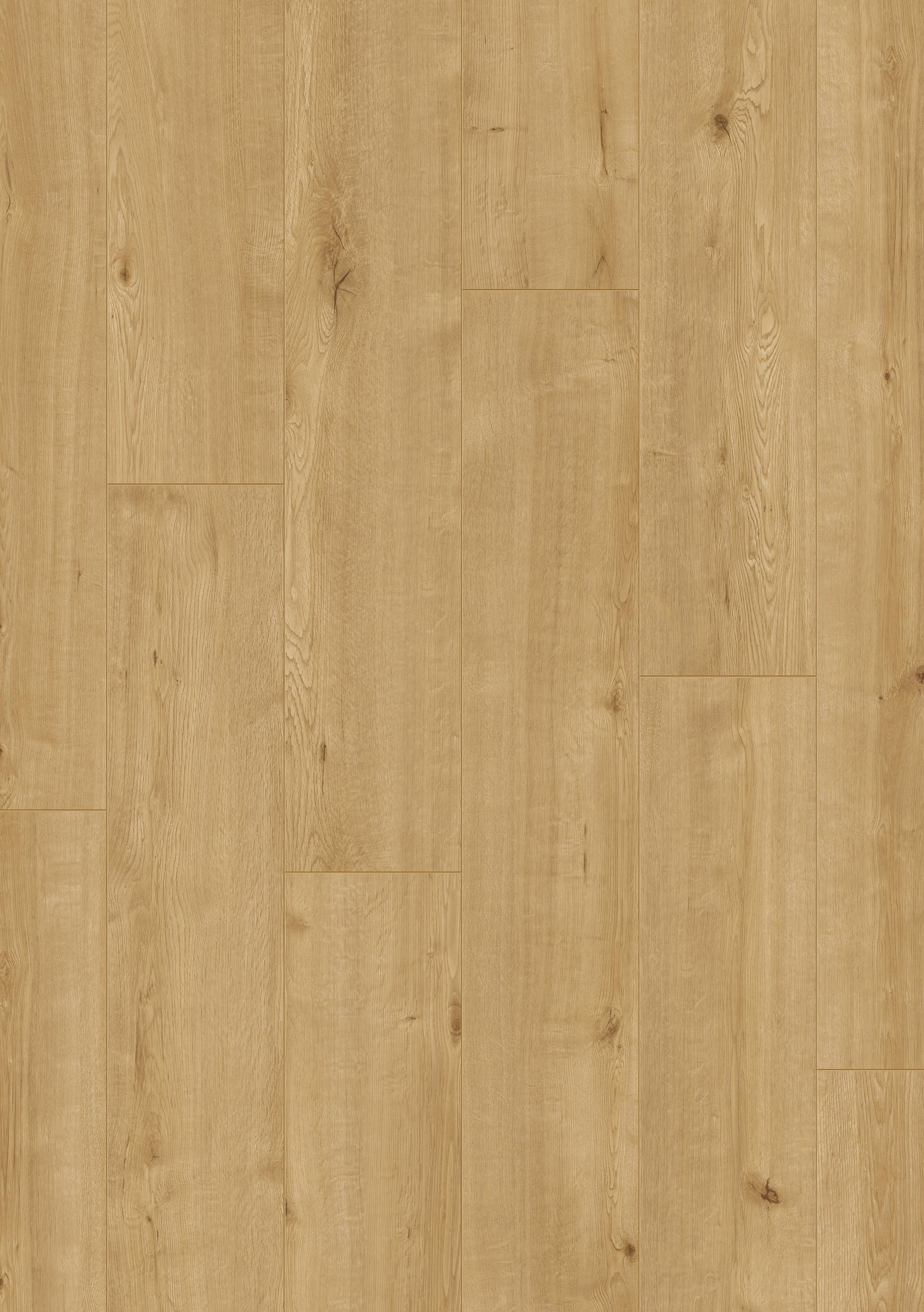 Furlong Neptune Coastal Oak Laminate 192x1261mm