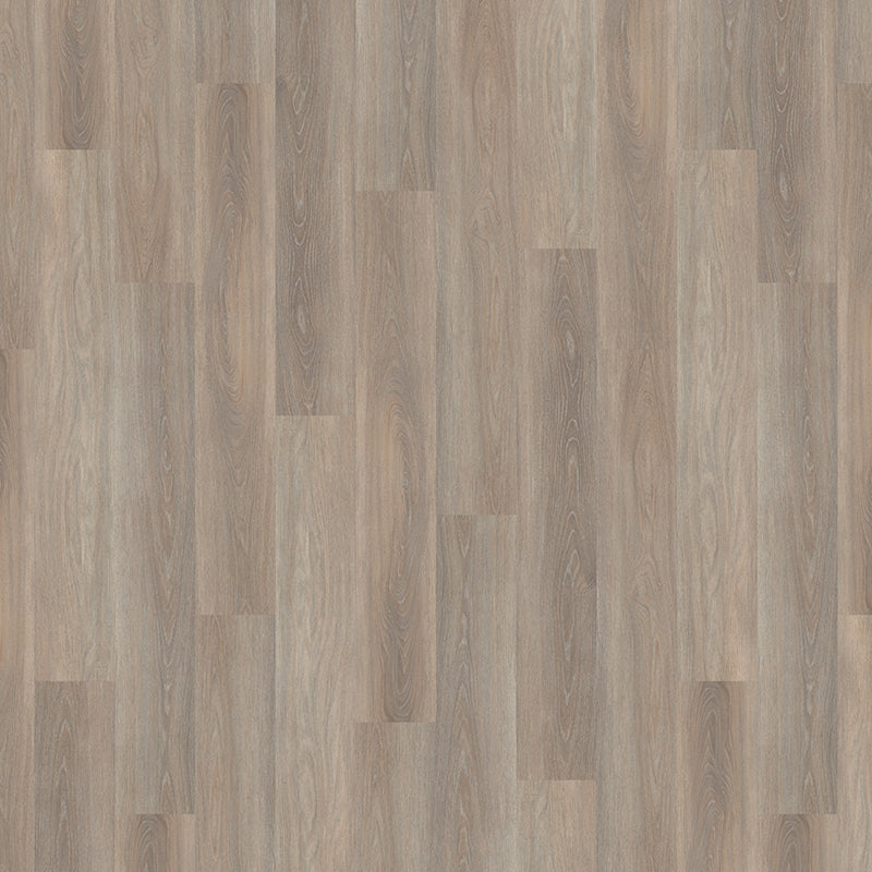 TLC True Forest Sun Blushed Oak 5132 Glue-Down LVT Flooring | Trade Prices