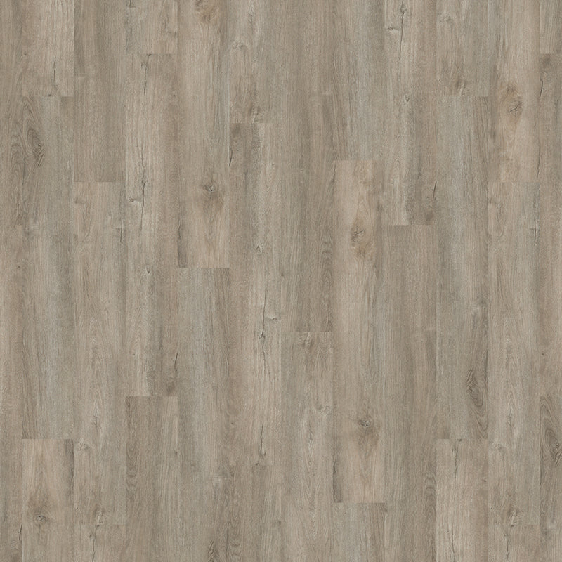 TLC True Forest Chester Oak 5133 Glue-Down LVT Flooring | Trade Prices
