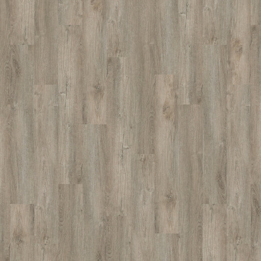 TLC True Forest Chester Oak 5133 Glue-Down LVT Flooring | Trade Prices