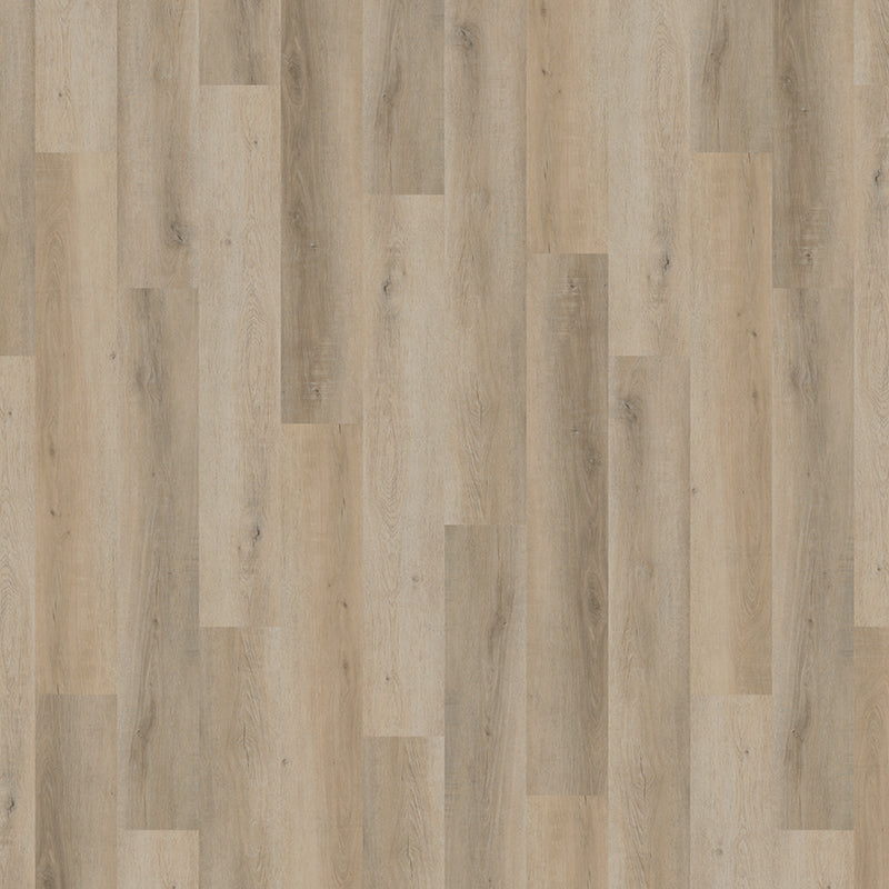 TLC True Forest Coach House Oak 5135 Glue-Down LVT Flooring | Trade Prices