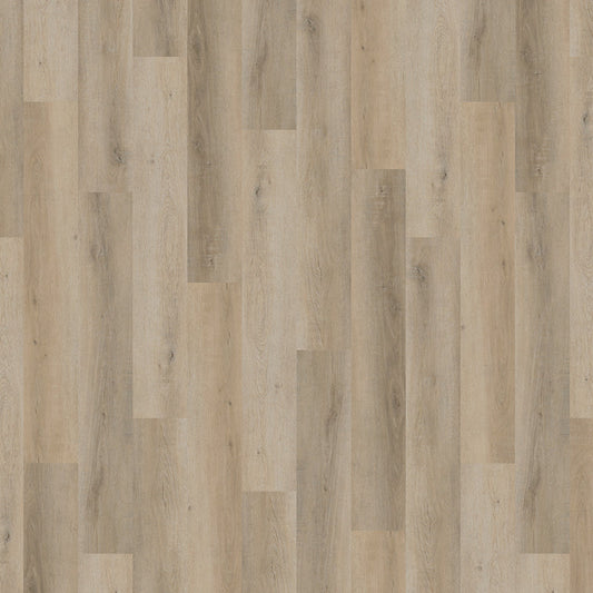 TLC True Forest Coach House Oak 5135 Glue-Down LVT Flooring | Trade Prices
