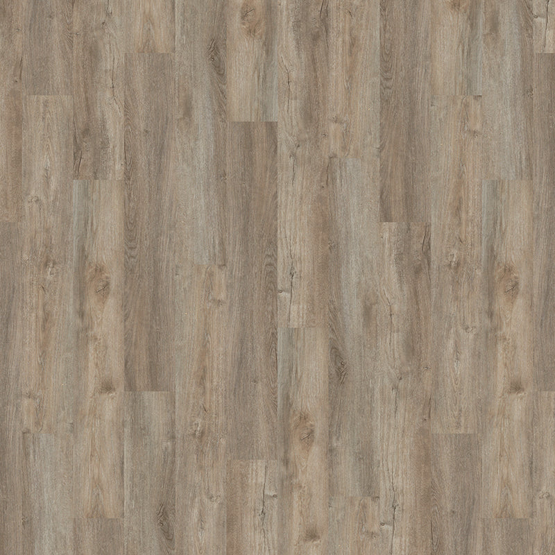 TLC True Forest Courtyard Oak 5136 Glue-Down LVT Flooring | Trade Prices