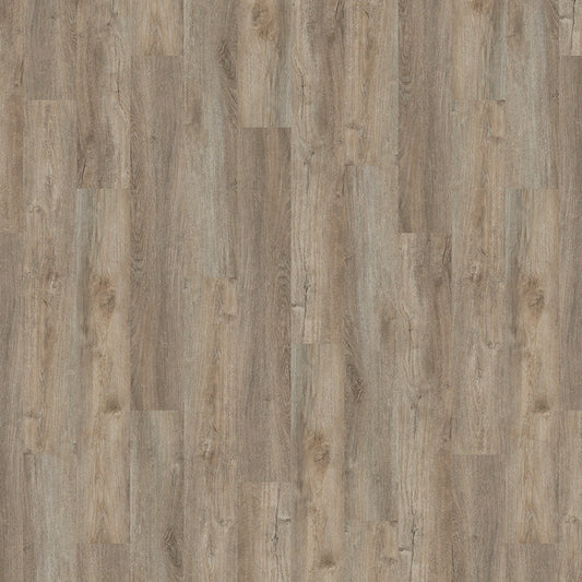 TLC True Forest Courtyard Oak 5136 Glue-Down LVT Flooring | Trade Prices