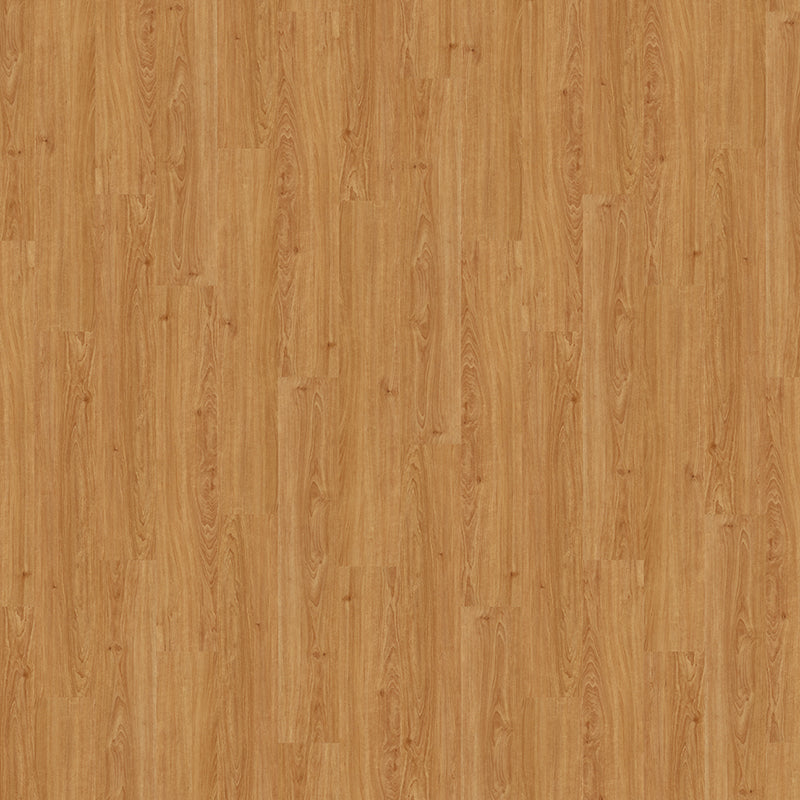 TLC True Forest Country Oak 5174 Glue-Down LVT Flooring | Trade Prices