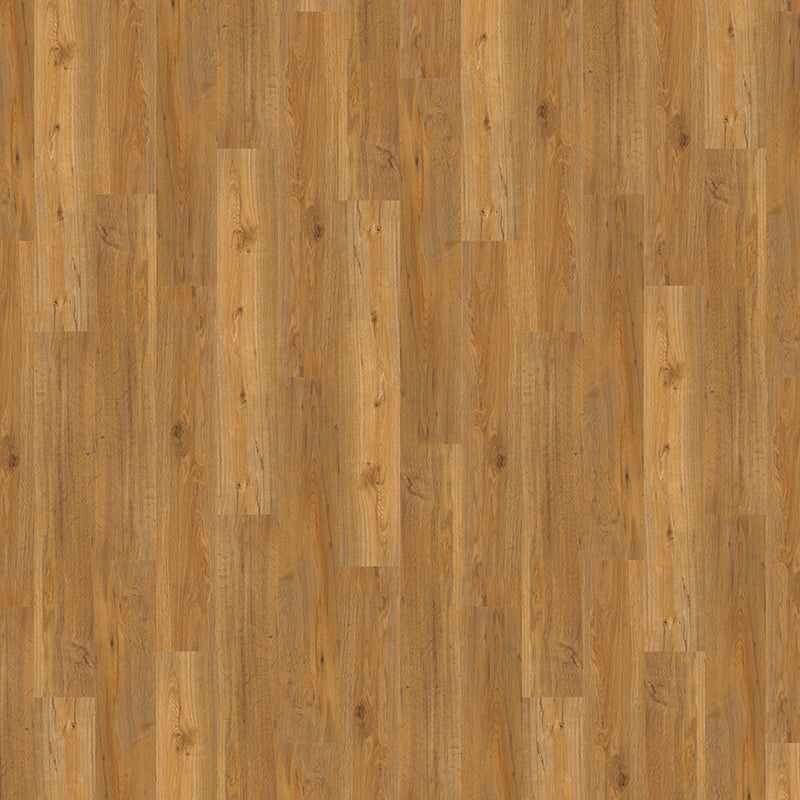 TLC True Forest Cambridge Oak 5176 Glue-Down LVT Flooring | Trade Prices