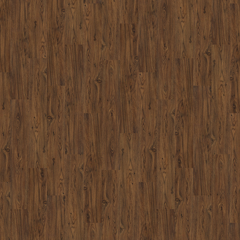 TLC True Forest Walnut 5179 Glue-Down LVT Flooring | Trade Prices