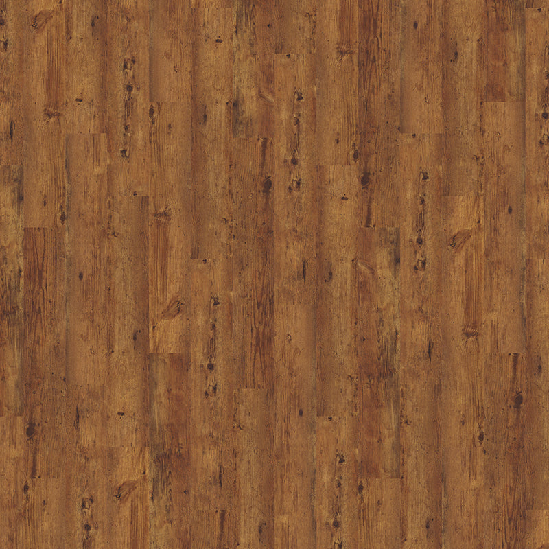 TLC True Forest Rustic Oak 5181 Glue-Down LVT Flooring | Trade Prices