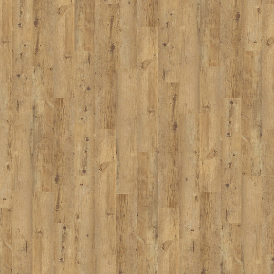 TLC True Forest Rustic Birch 5183 Glue-Down LVT Flooring | Trade Prices