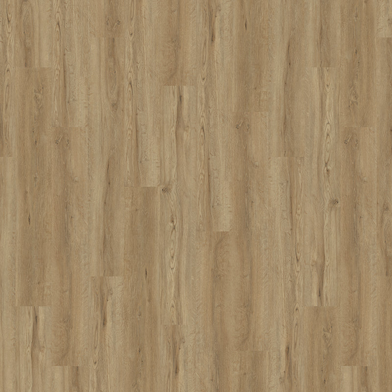 TLC True Forest Grizedale Oak 5192 Glue-Down LVT Flooring | Trade Prices