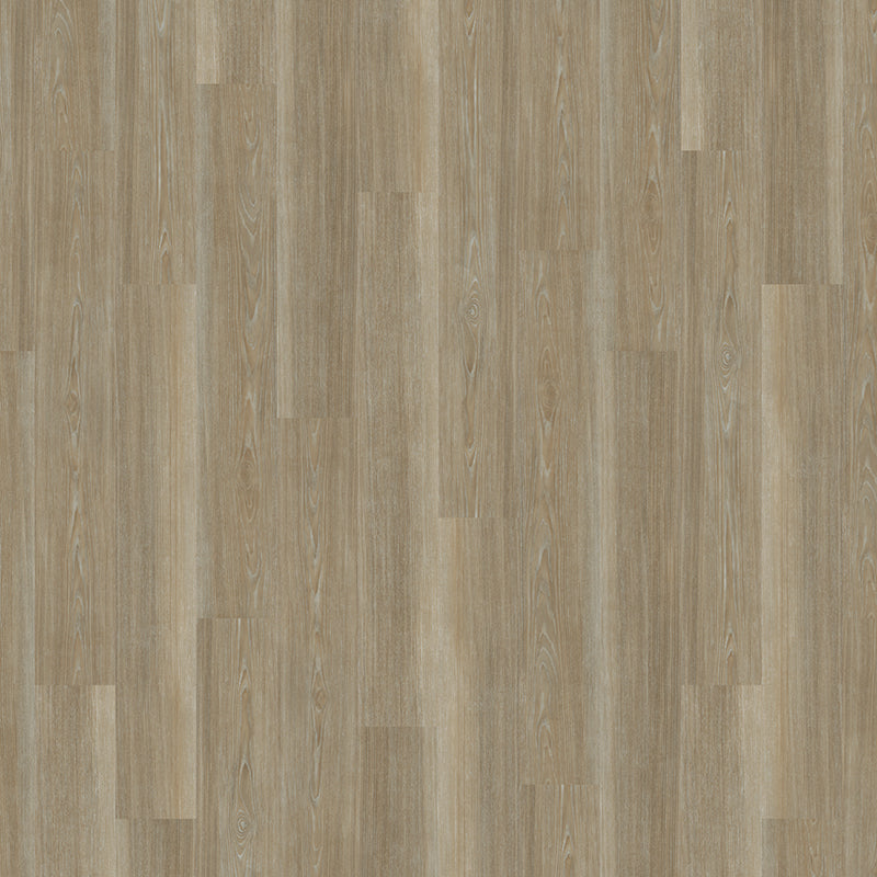 TLC True Forest Frosted Driftwood 5193 Glue-Down LVT Flooring | Trade Prices