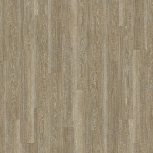 TLC True Forest Frosted Driftwood 5193 Glue-Down LVT Flooring | Trade Prices