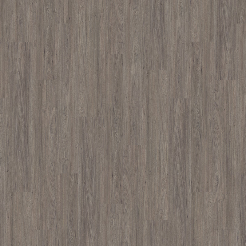 TLC True Forest Dartmouth Oak 5195 Glue-Down LVT Flooring | Trade Prices