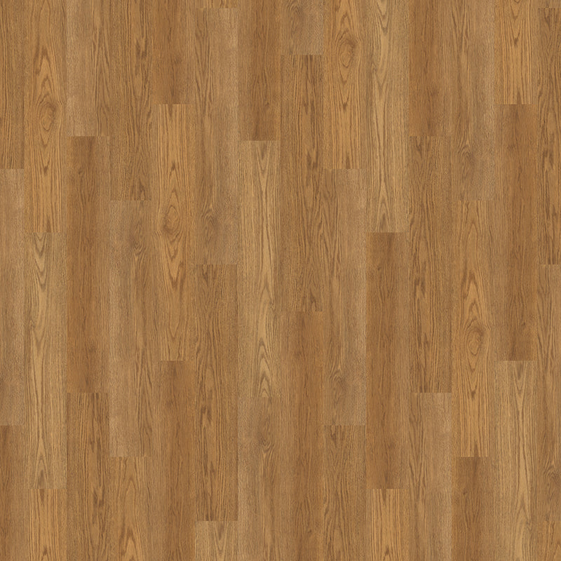 TLC True Forest Classic Oak 5175 Glue-Down LVT Flooring | Trade Prices