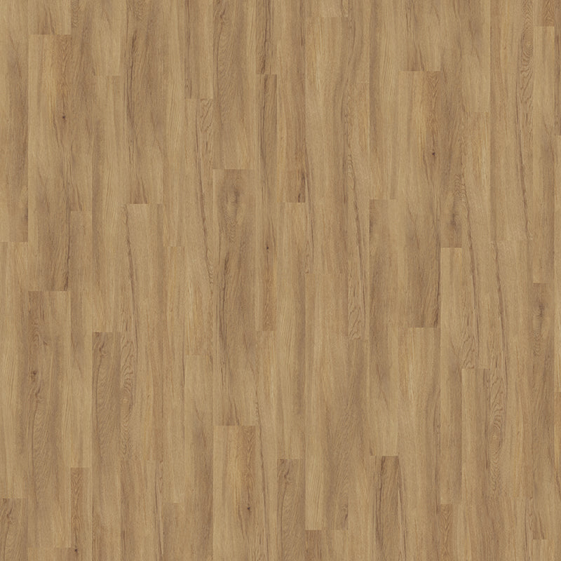 TLC Massimo Authentic Assorted Oak Glue-Down LVT Flooring | Trade Prices