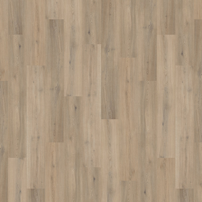 TLC Massimo Wood Blond Oak Glue-Down LVT Flooring | Trade Prices
