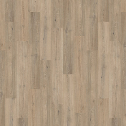 TLC Massimo Wood Blond Oak Glue-Down LVT Flooring | Trade Prices