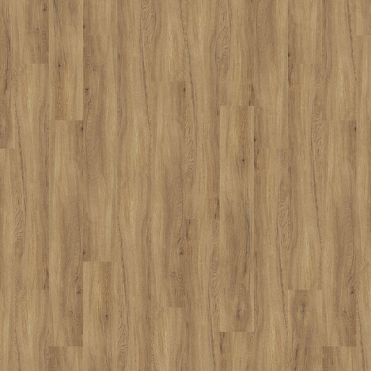 TLC Massimo Wood Authentic Oak PLK5262 Glue-Down LVT Flooring | Trade Prices