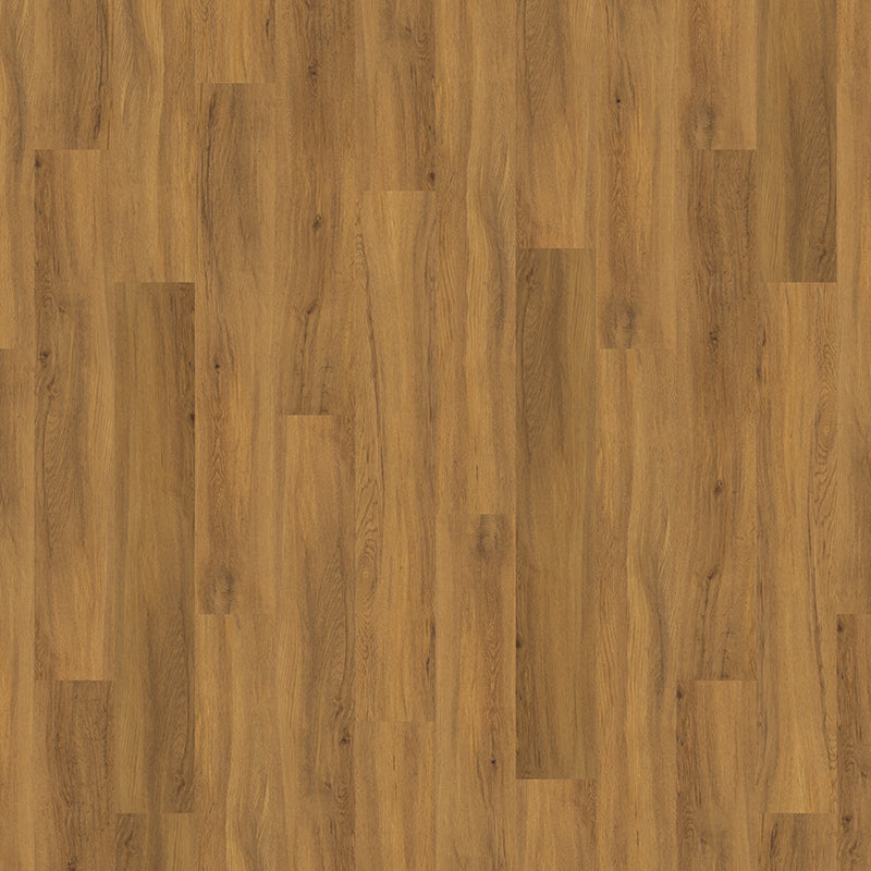 TLC Massimo Wood Golden Oak PLK5266 Glue-Down LVT Flooring | Trade Prices