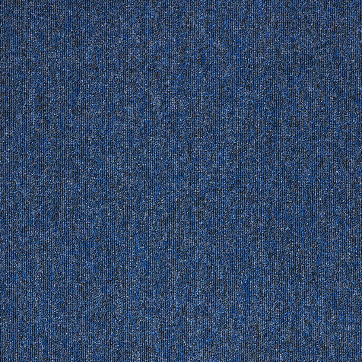 Macaw Sapphire carpet tile