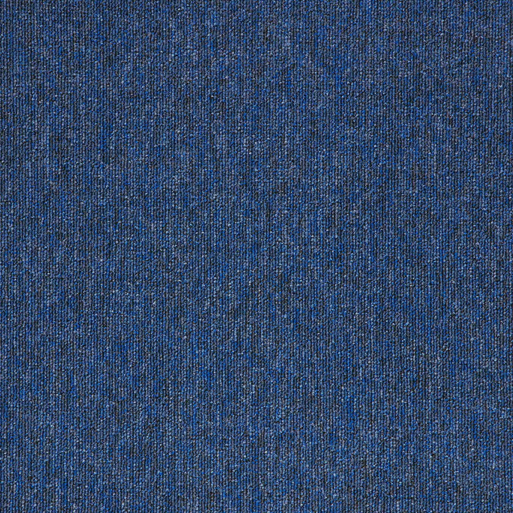 Macaw Sapphire carpet tile