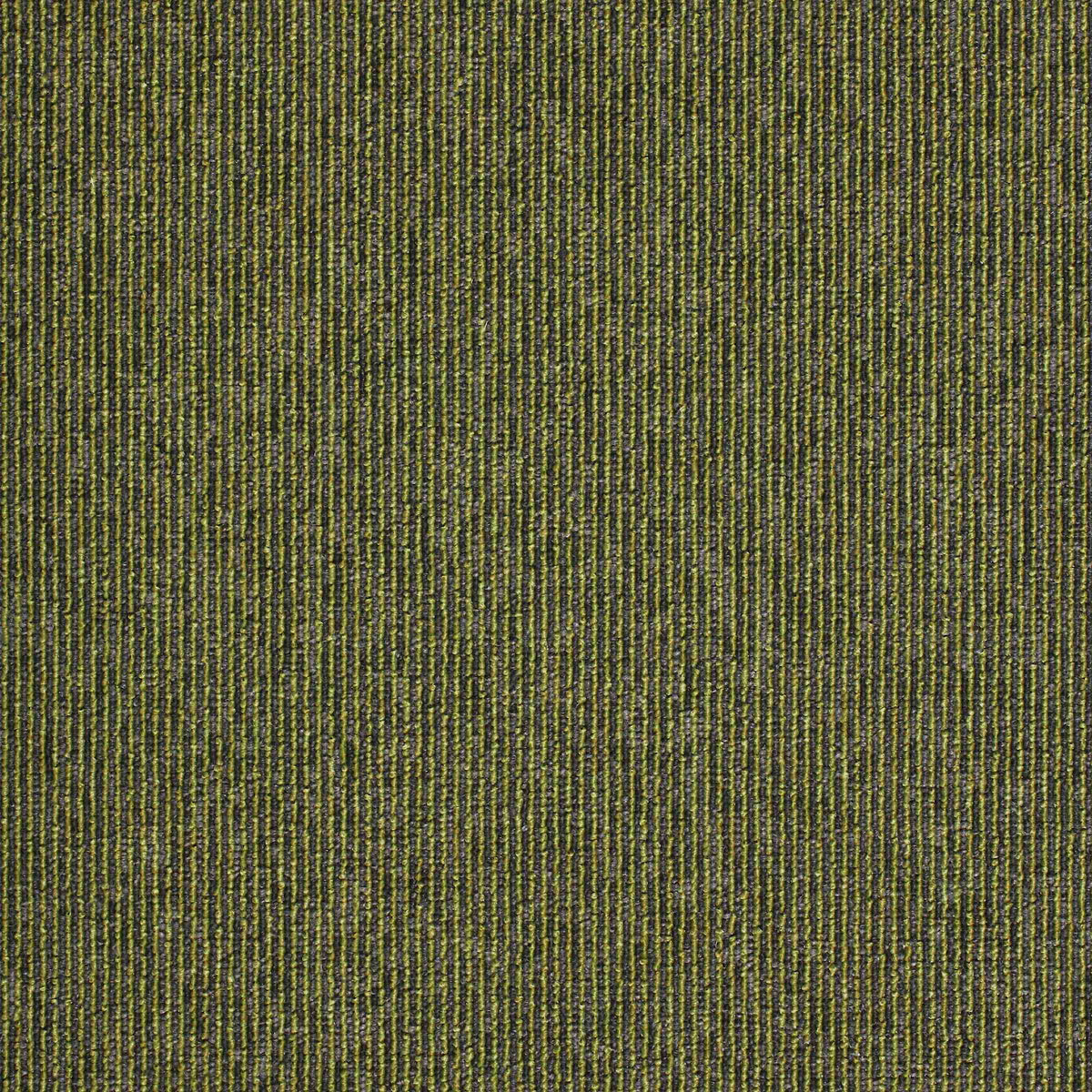 Macaw Stripe Lime / Quartz carpet tile