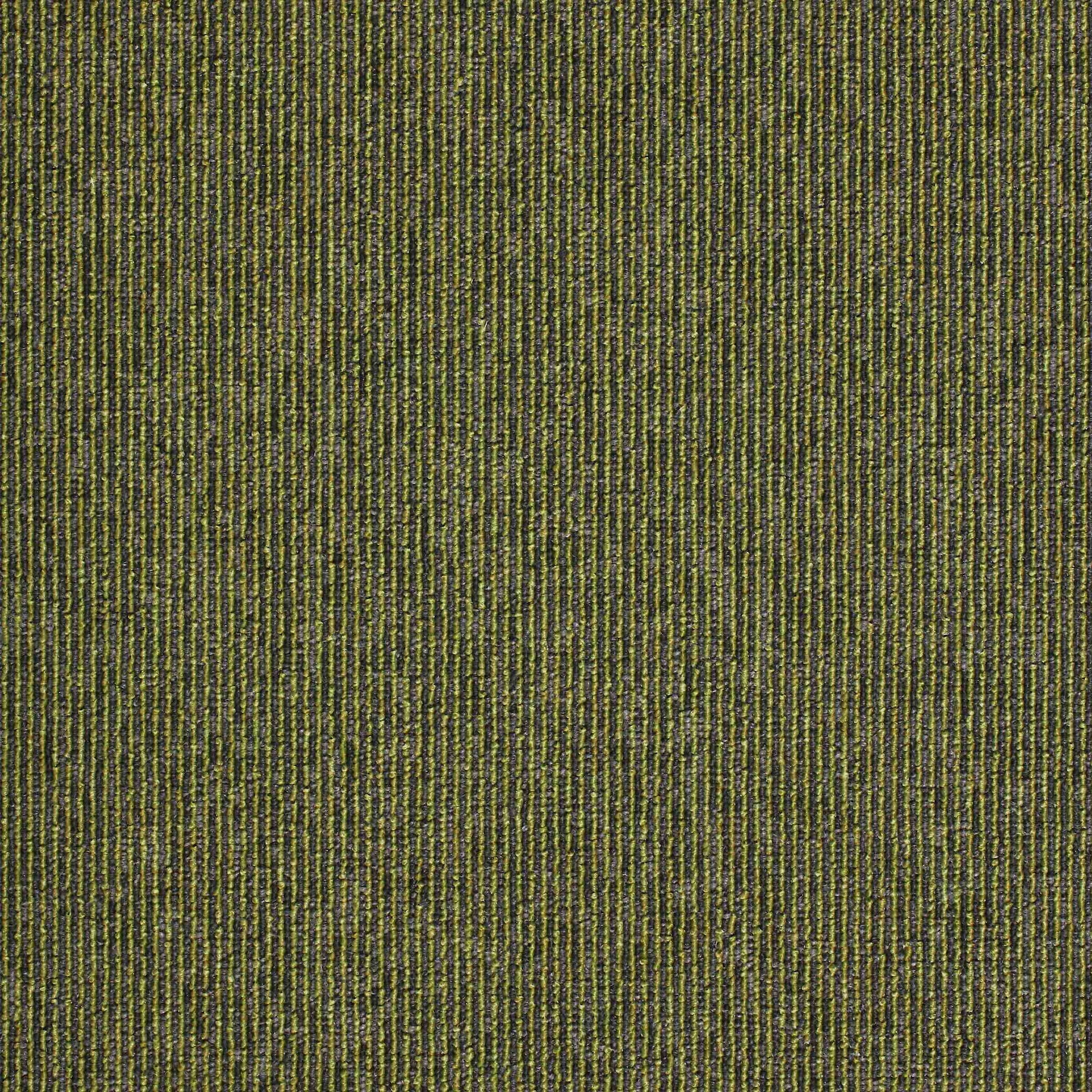 Macaw Stripe Lime / Quartz carpet tile