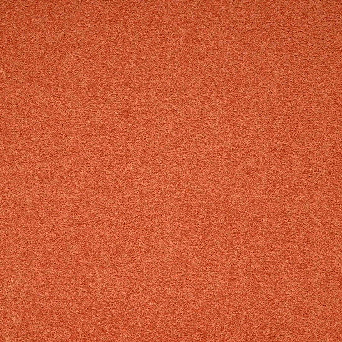 Maestro Auburn Falls carpet tile