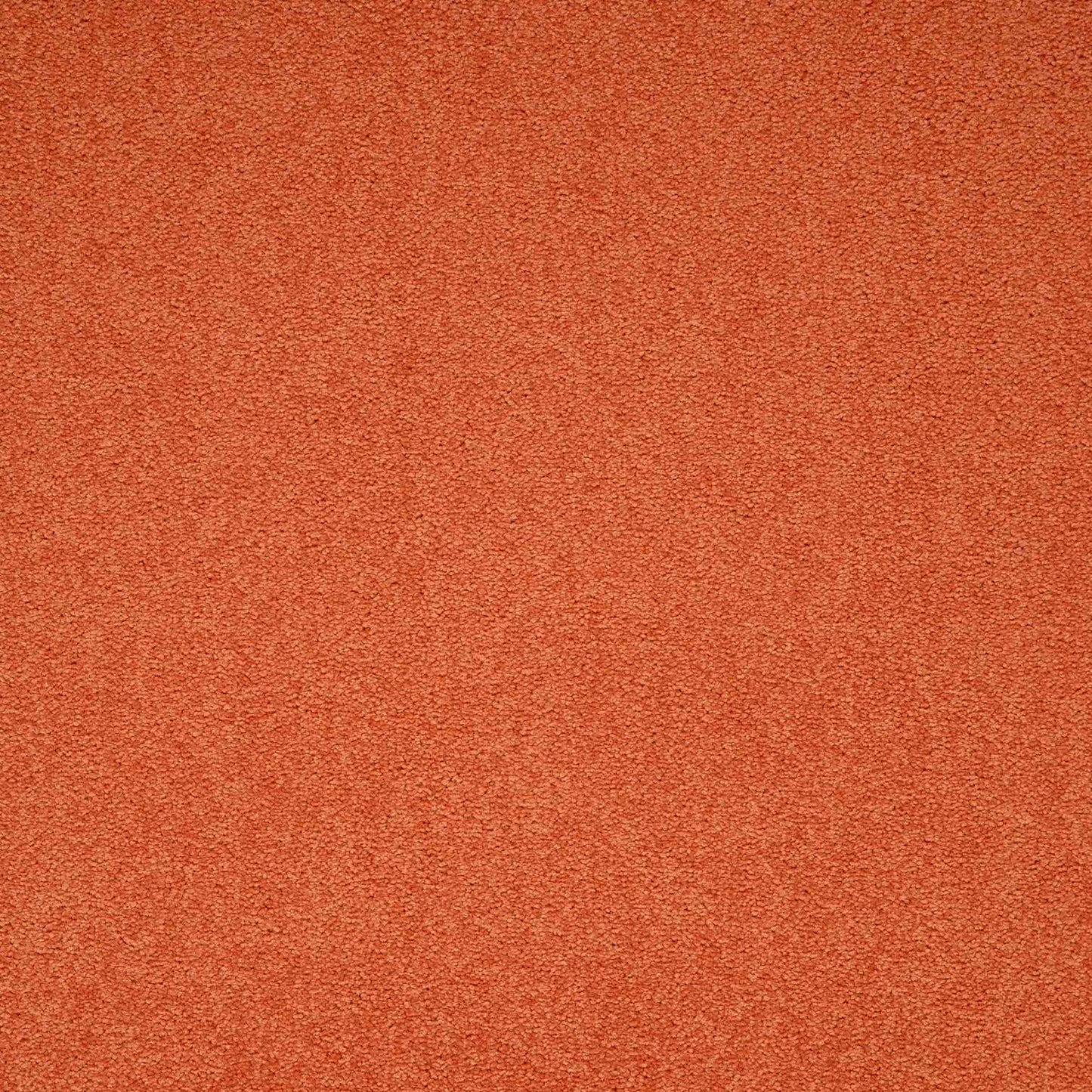 Maestro Auburn Falls carpet tile