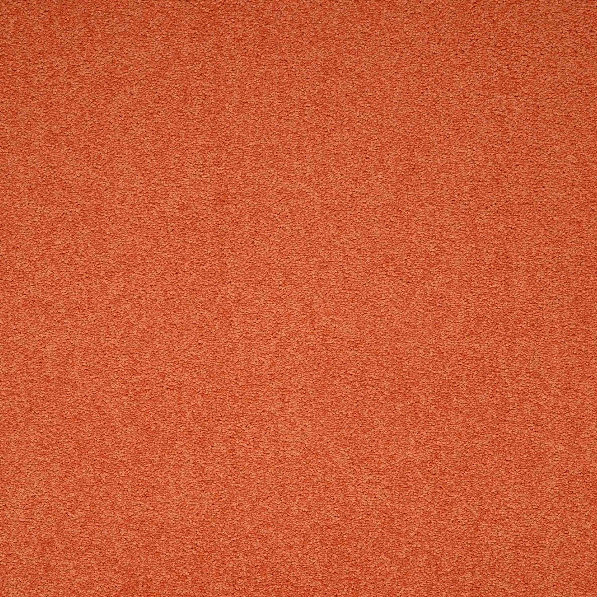 Maestro Auburn Falls carpet tile